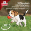 Hill's Science Plan Puppy Healthy Development Large Breed Για Σκύλους Με Κοτόπουλο 14,5kg - Image 3